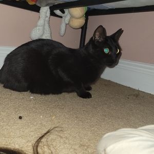 Meet your Posher, Hannah